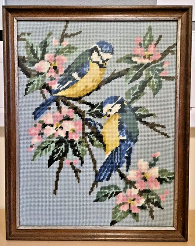 Vintage blue tit birds - tit,